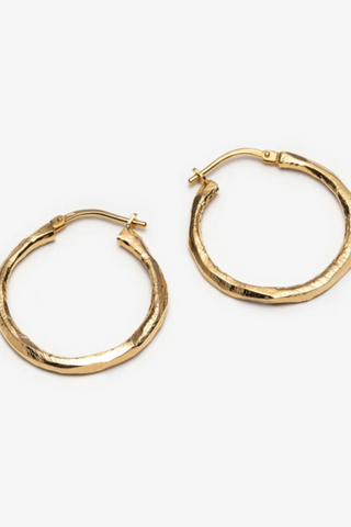 OBSERVER EARRINGS